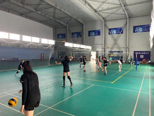 豐臺(tái)區(qū)青少年運(yùn)動(dòng)隊(duì)暑期集訓(xùn)圓滿收官，項(xiàng)目經(jīng)營助力體育人才儲(chǔ)備